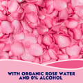 NIVEA Face Rose WATER Mist 150ML