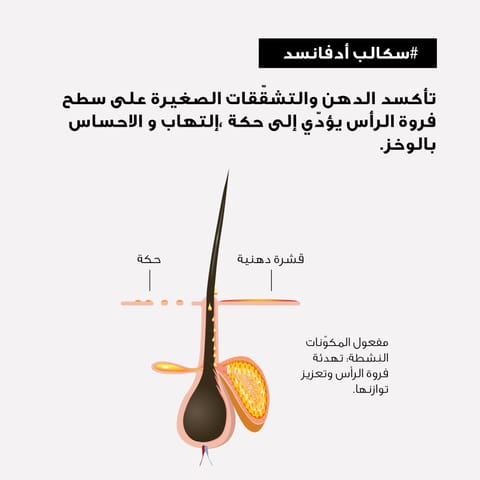 شامبو لتساقط الشعر للرجال 200 مل