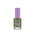 Callista Color Up Nail Polish# 580