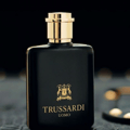 Trussardi Uomo Black Men Eau de Toilette 100ml