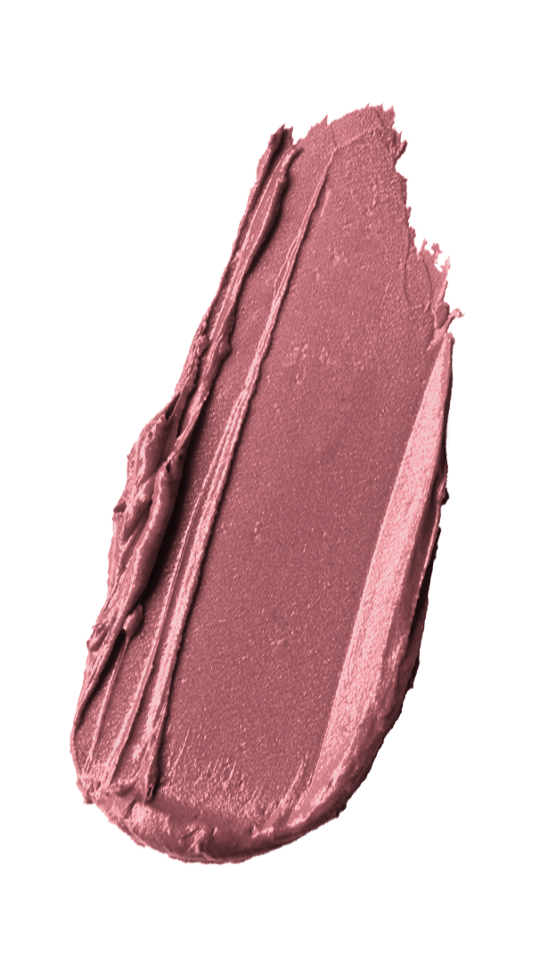 WET N WILD Rich Satin Lip Color-3gr